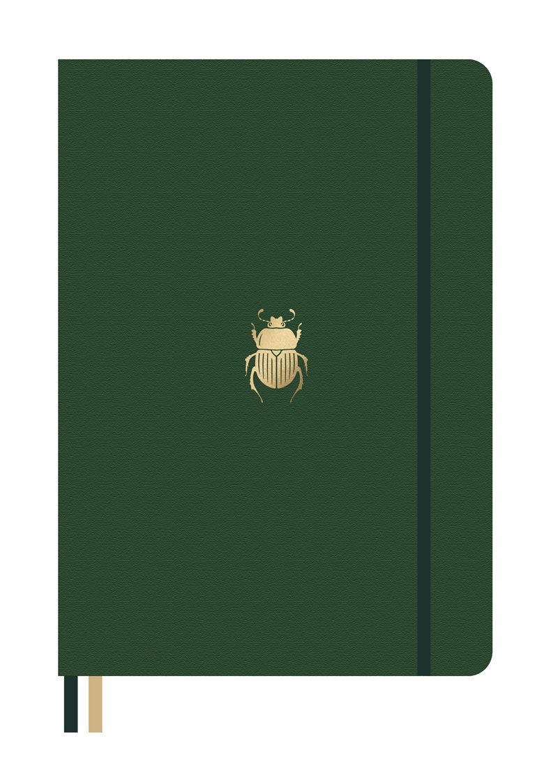Dingbats* Pro B5 Beetle Notebook - Plain