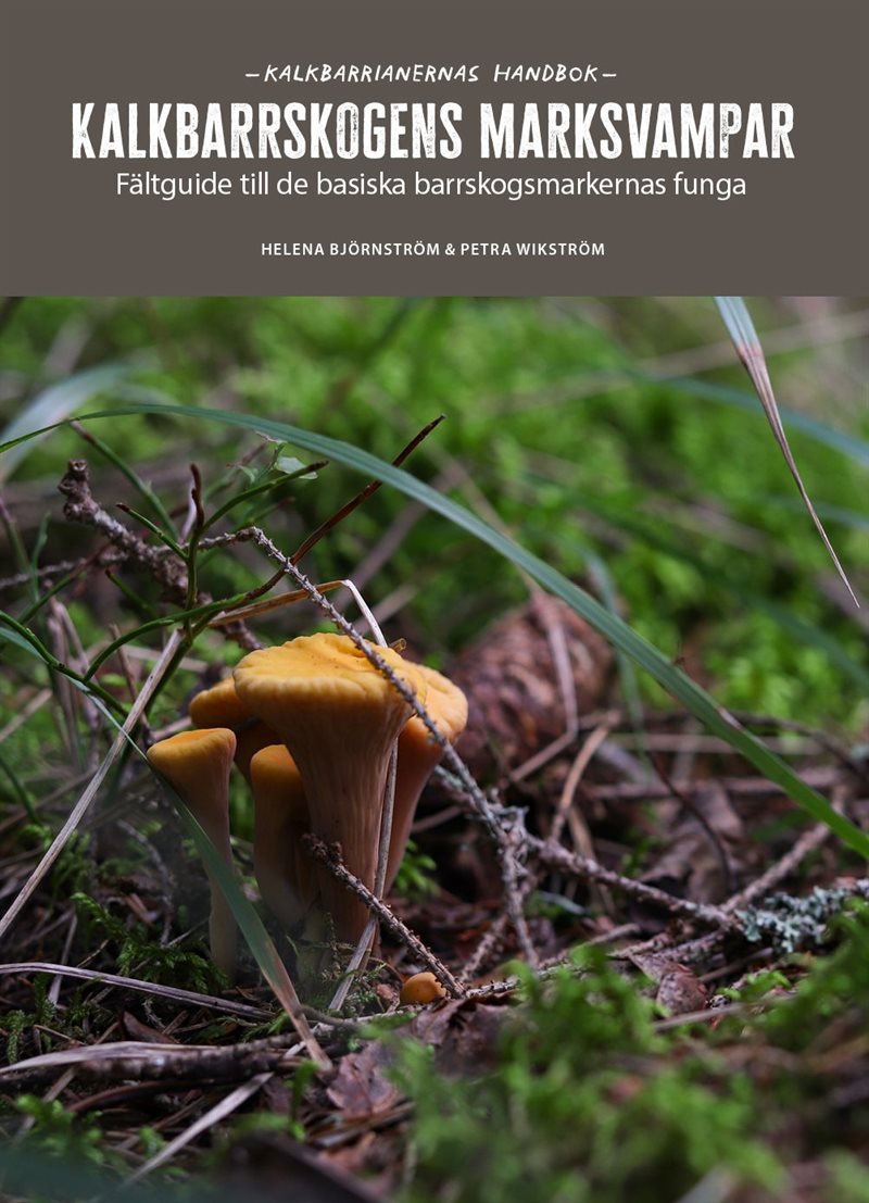 Kalkbarrskogens marksvampar : fältguide till de basiska barrskogsmarkernas funga