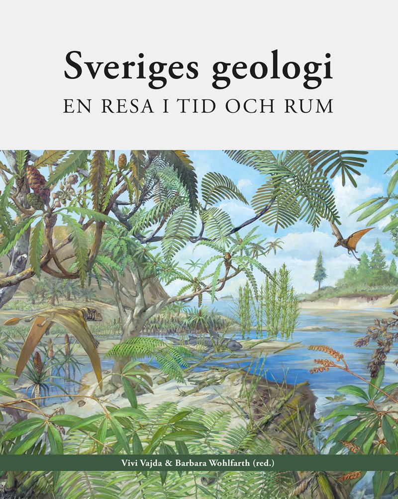 Sveriges geologi : en resa i tid och rum