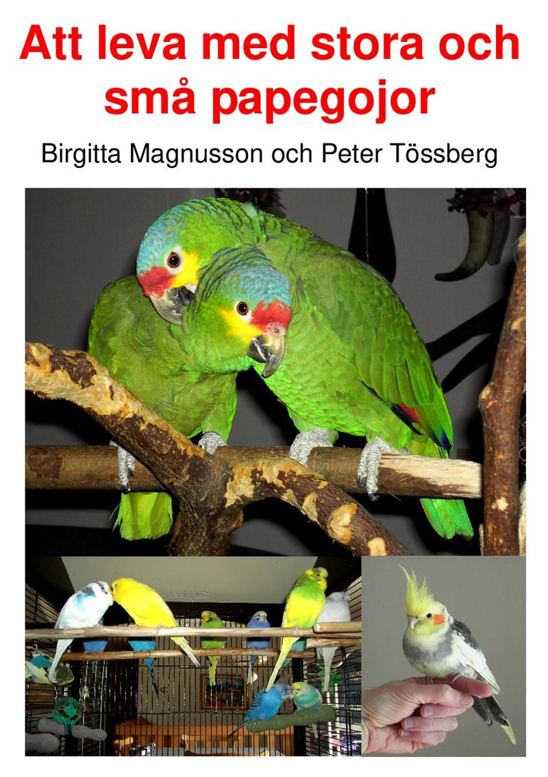 Att leva med stora och små papegojor