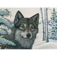 Painting by numbers Snow Wolf