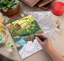 Painting by numbers Red Eared Slider PJS91