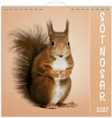 Väggkalender 2027 Sötnosar