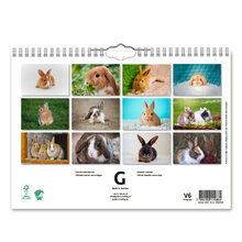 Väggkalender Kaniner Small 2024 240x170