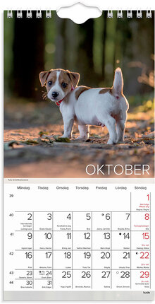Väggkalender 2023 Liten Hundkalender