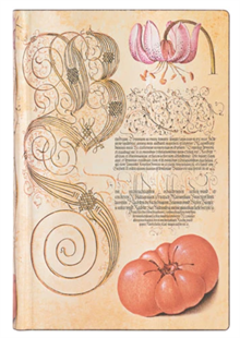 Paperblanks Anteckningsbok Mira Botanica Lily & Tomato Lined Mini
