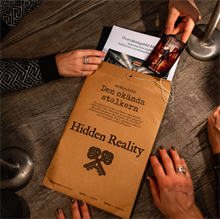 Mordgåtan "Den okända stalkern"